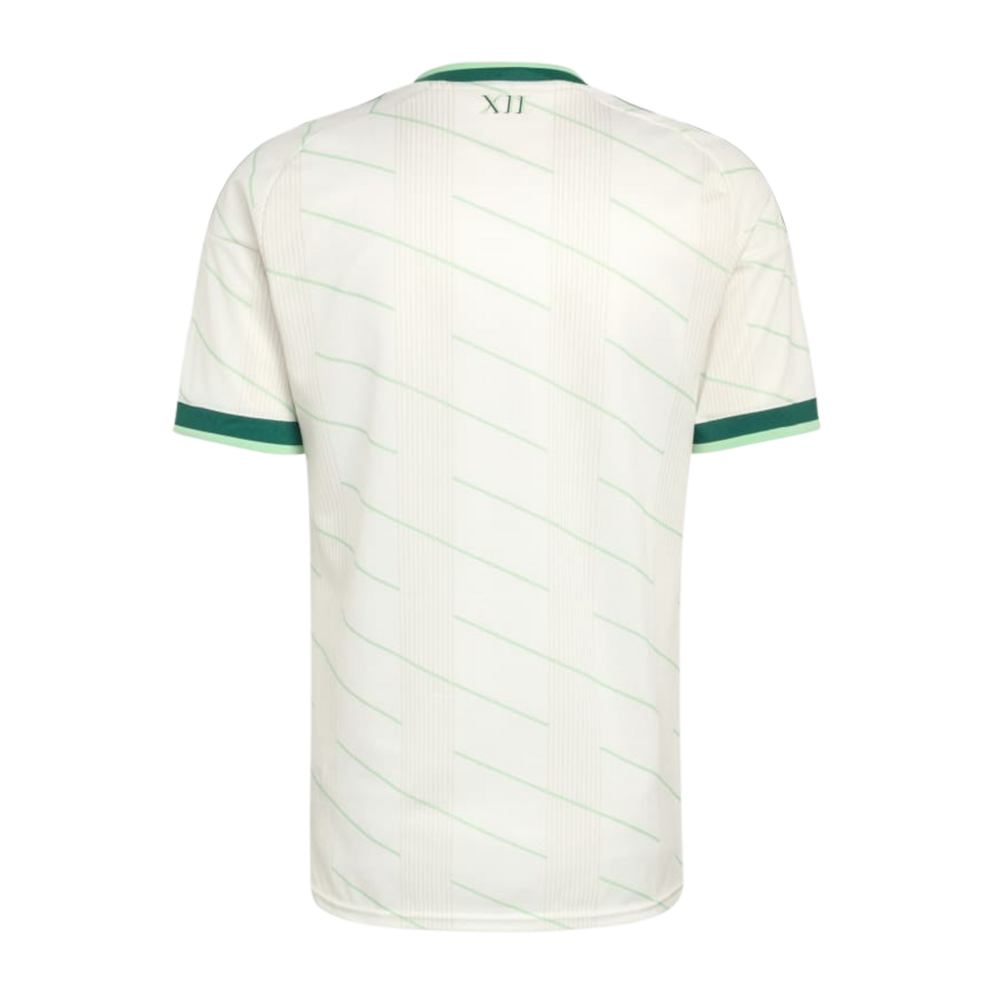 MAILLOT IRLANDE DE NORD COUPE DU MONDE 2026 EXTÉRIEUR